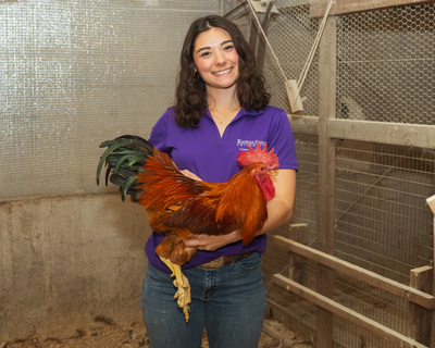 Molly with a chicken