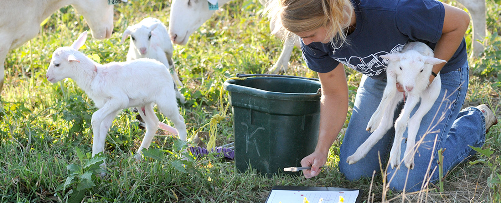 Students working with animals