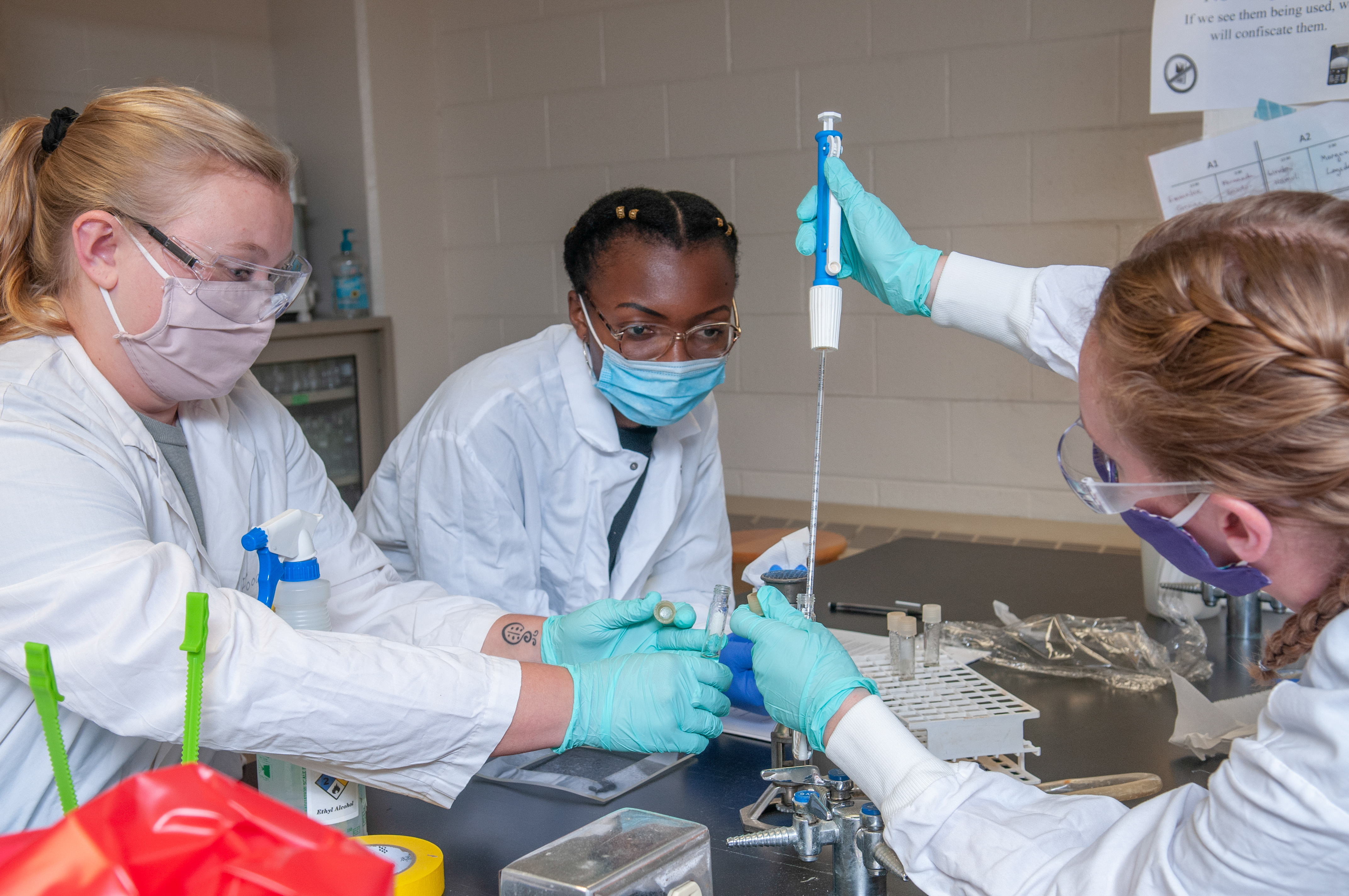 Students in a lab