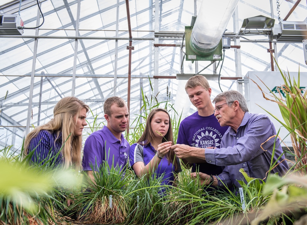 Students with faculty member in the greenhouses