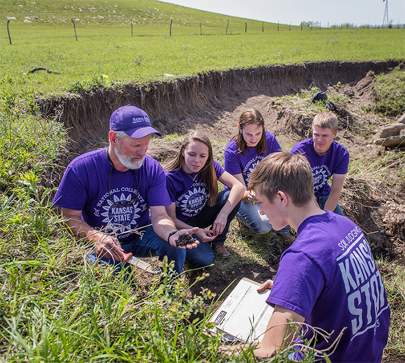 Faculty working with students