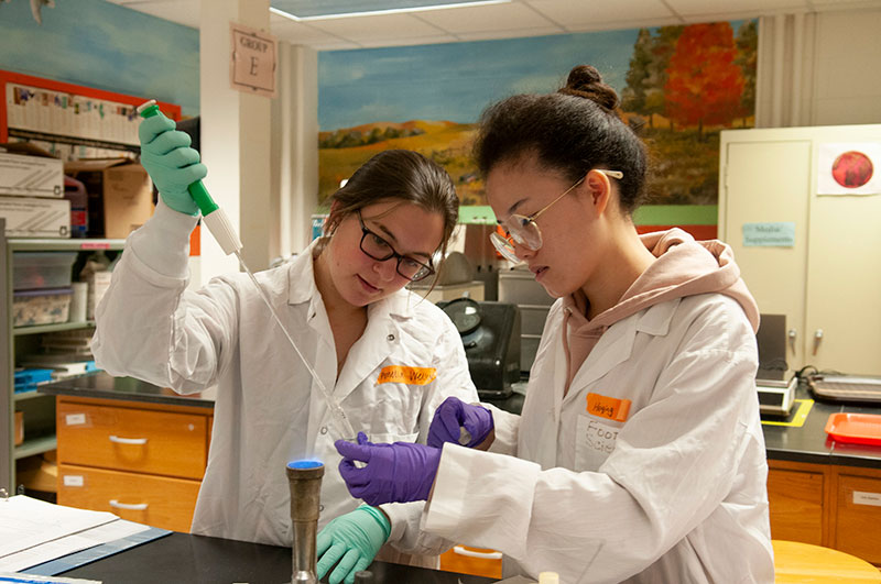 Food science students in the lab