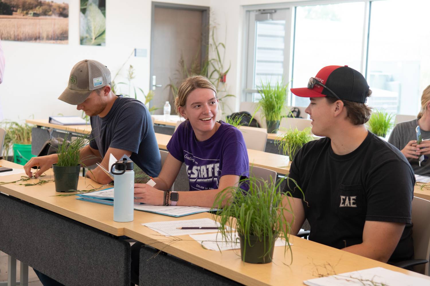 Three students in class with a plant in front of them