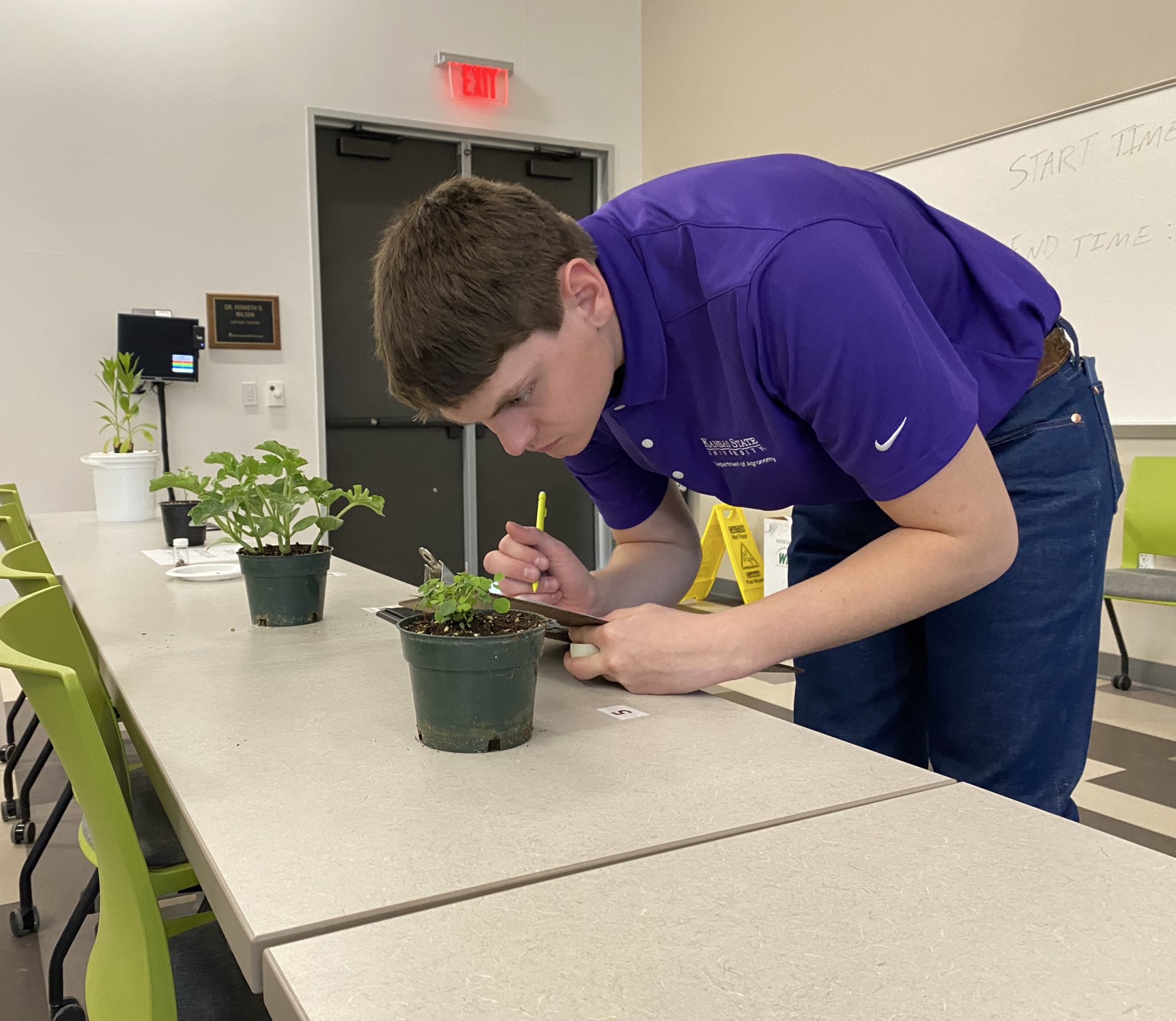 Crops judging student