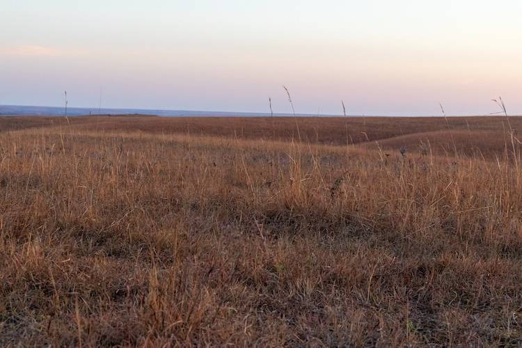 Grass on Rannells Ranch in the fall.