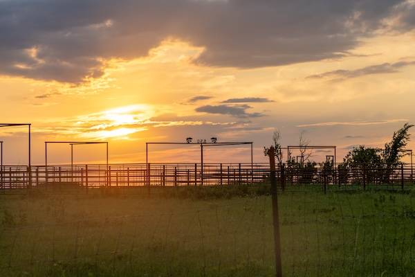 Sunset at Rannells