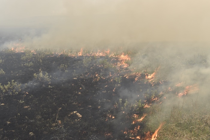 During Burn