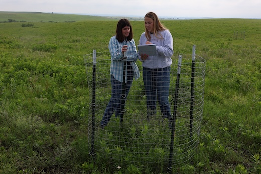 Sophie guides students at Rannells Ranch.