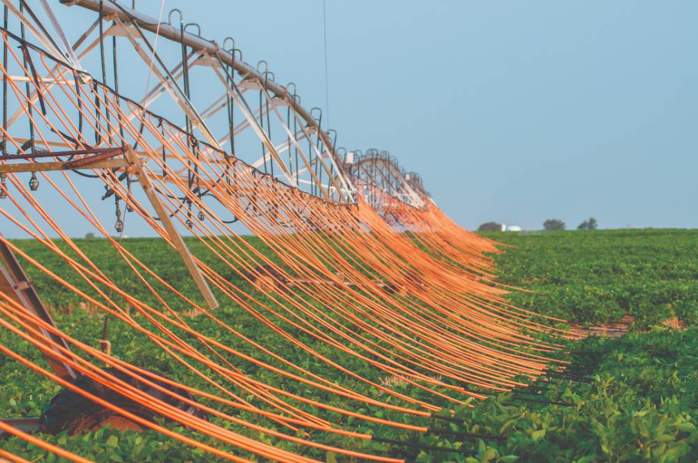 Flickner innovation farm